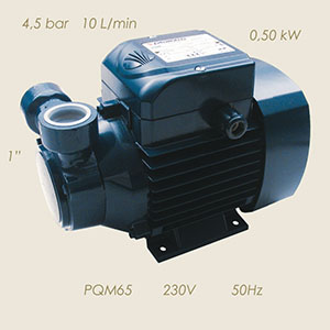 920-M65-50 - POMPA PEDROLLO PQM65 230/1/50 1"-1"