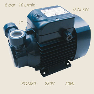 920-M80-50 - POMPA PEDROLLO PQM80 230/1/50 1"-1"