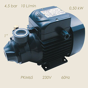 921-M65-60 - POMPA PEDROLLO PKM65 230/1/60 1"-1"