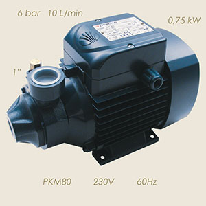 921-M80-60 - POMPA PEDROLLO PKM80 230/1/60 1"-1"