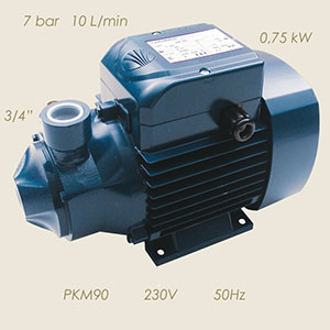 921-M90-50 - POMPA PEDROLLO PKM90 230/1/50 3/4"-3/4"