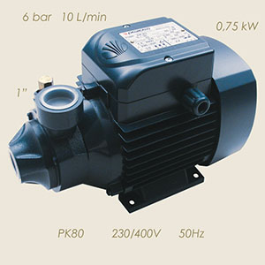 921-T80-50 - POMPA PEDROLLO PK80 230/400/3/50 1"-1"